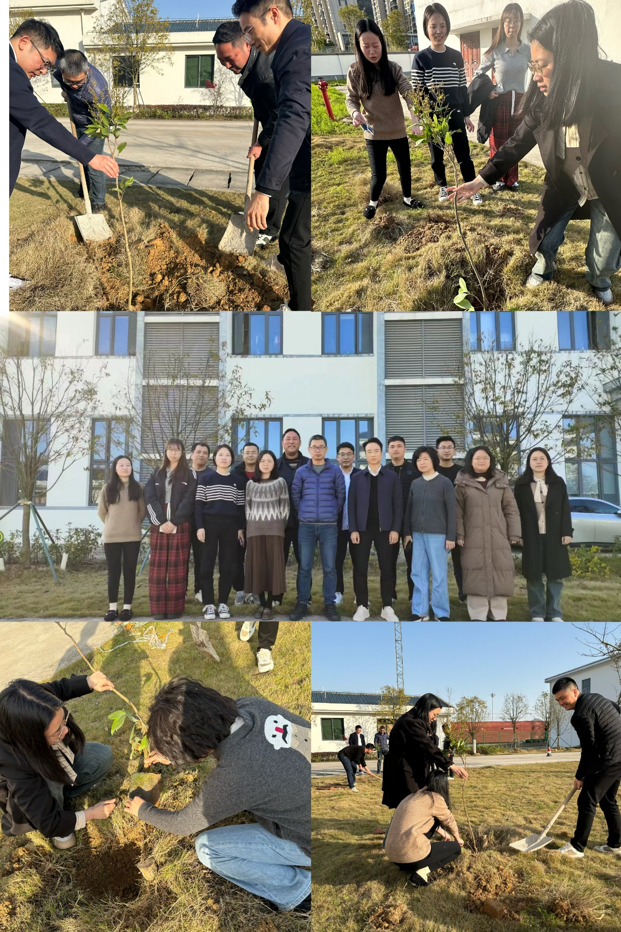 2024-3-12綠色陸港，美麗寧德，阮克妙拍攝.jpg